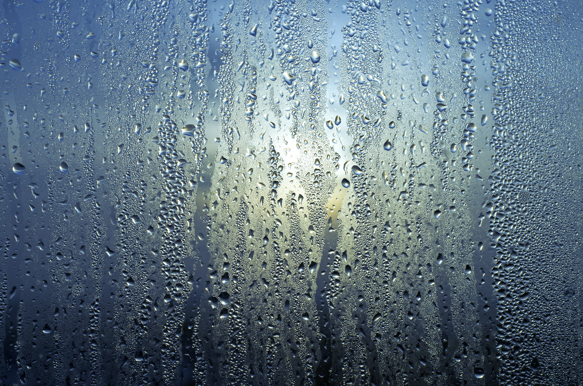 Condensation on windows can be frustrating and cause you to be victims of water damage.